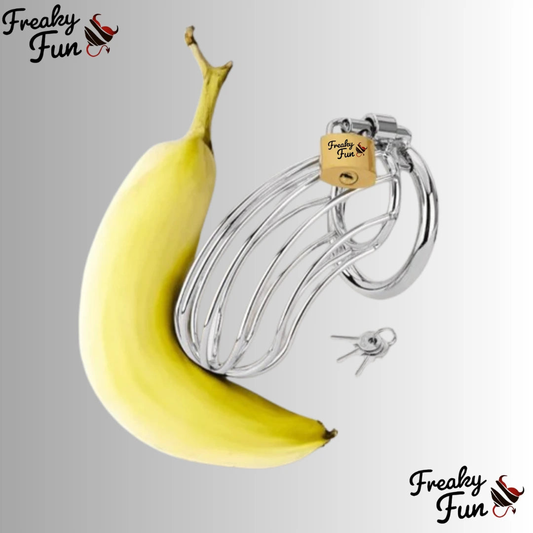 Big Cock Chastity cage