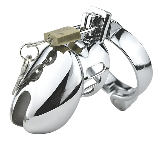 Steel chastity cage 