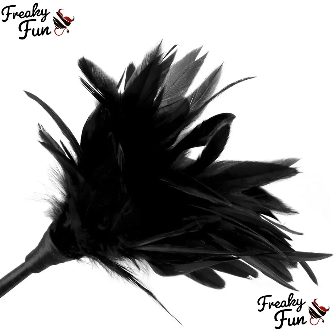Teasing feather for sex